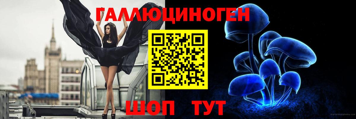 Псилоцибиновые грибы GOLDEN TEACHER Мирный