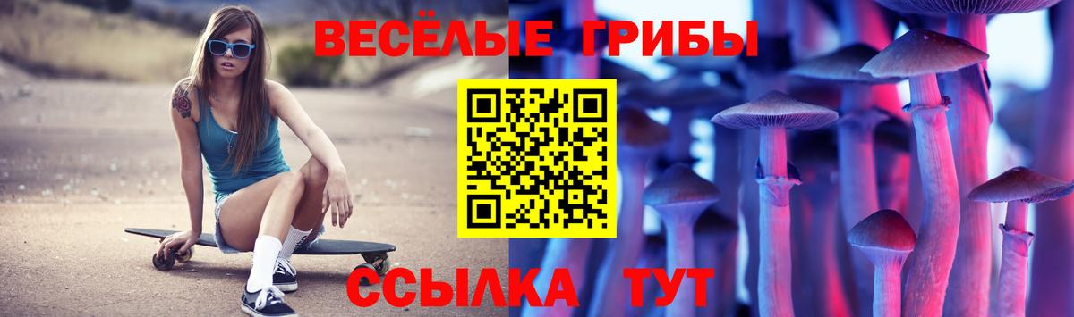 Мирный  Псилоцибиновые грибы мухоморы  Вход с VPN 