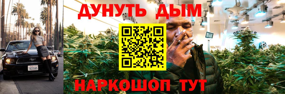Каннабис индика Мирный